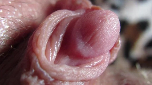 Extreme close up on my pulsating clit head and pussy juice | Modelhub.com
