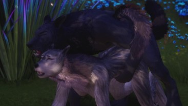 Rahn The Wolf Anal Knots & Cums Inside Female Wolf / Wild Life Furries